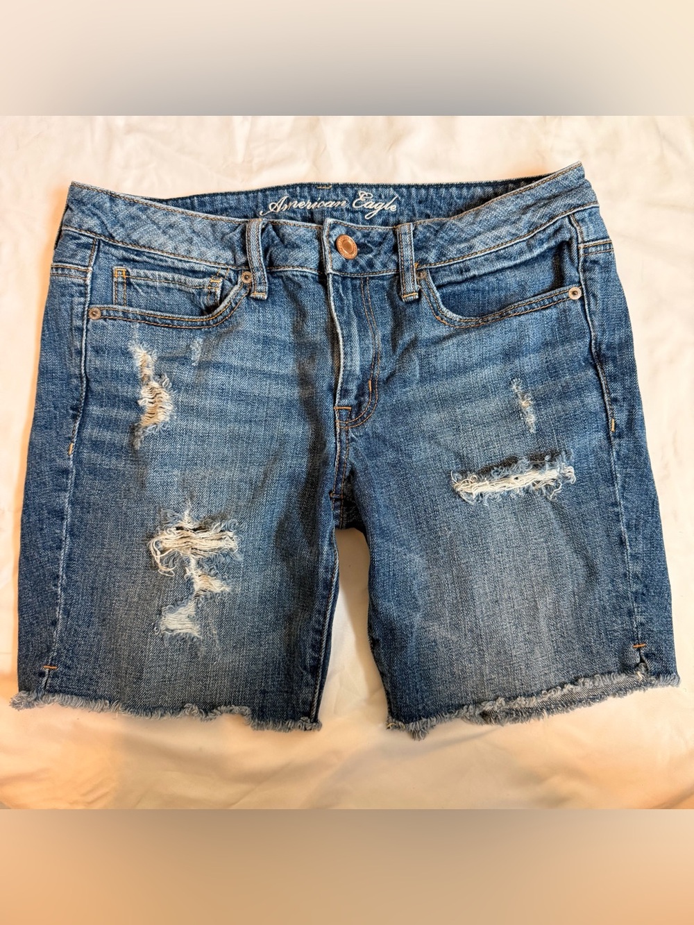 American Eagle Outfitters Distressed Light Blue Denim Jean Shorts